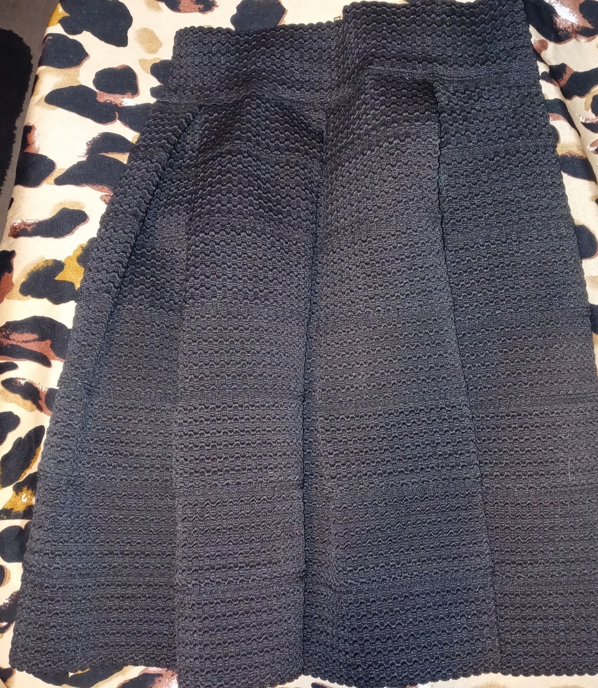 Charlotte Russe Skirt